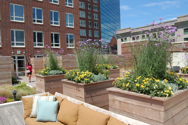 Beacon Hill Condos for Sale with Roof Deck